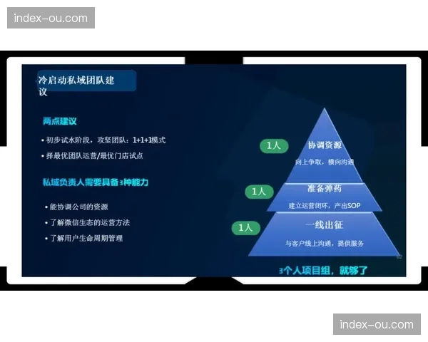 互动运营团队角色细化，出现专司数据分析、社群激活或玩法设计的岗位。